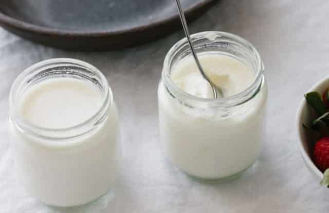 yaourt des neiges au Thermomix