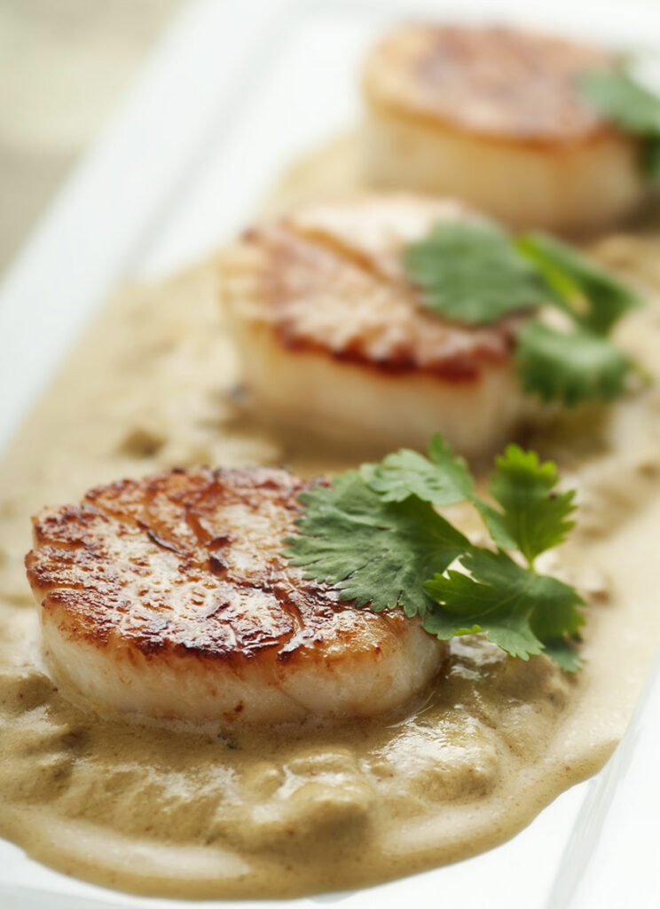 Blanquette de Saint-jacques aux champignons